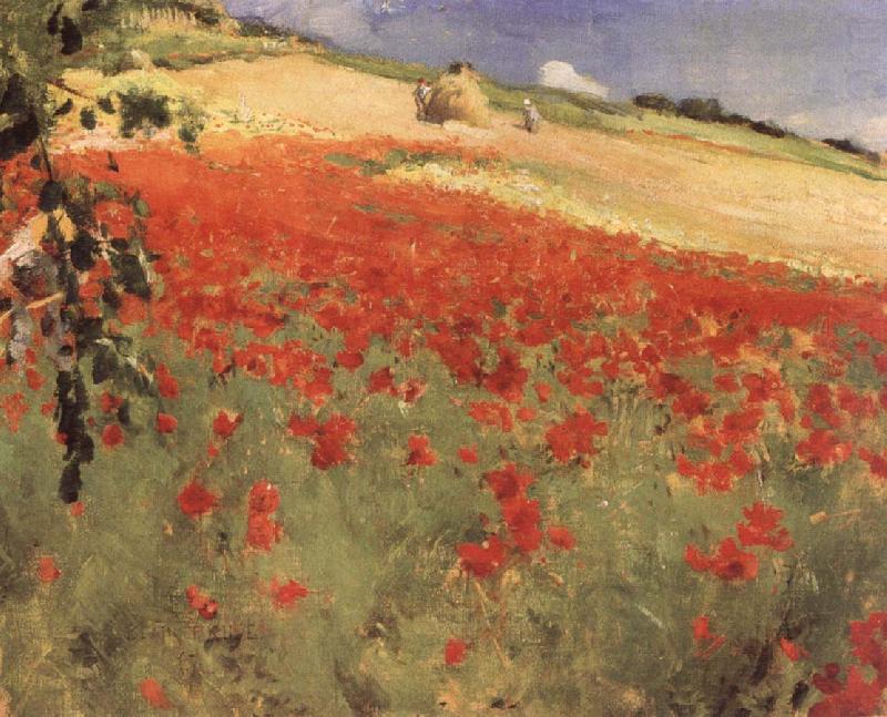 William blair bruce Landscape with Poppies oil painting picture